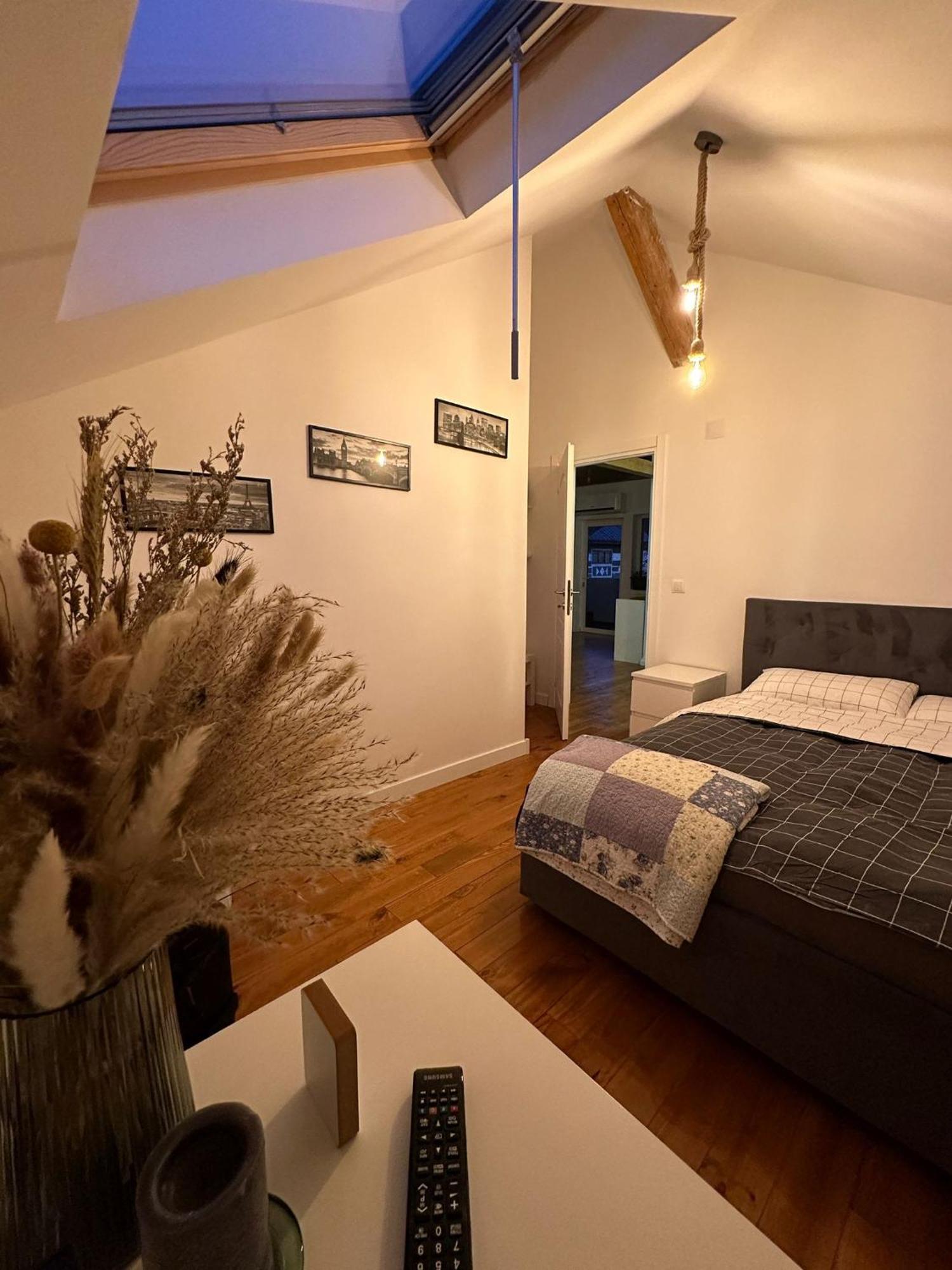 Attic 33 Apartment Campulung Moldovenesc Luaran gambar